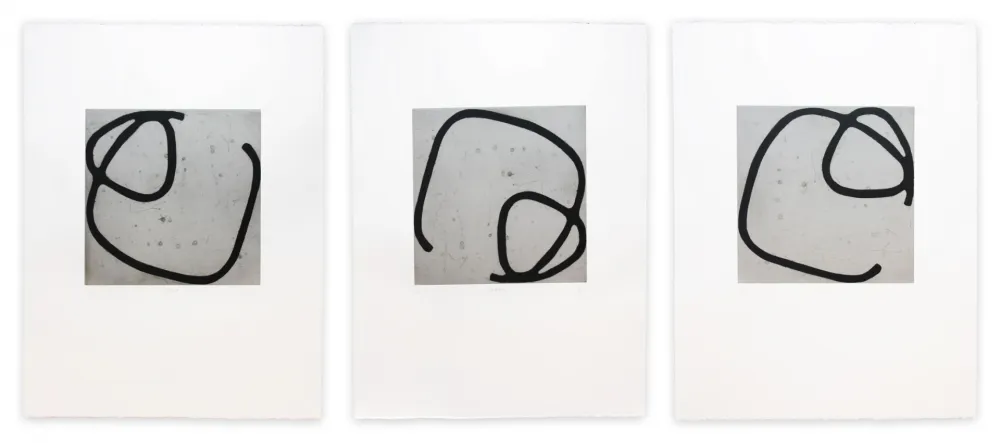 Acquaforte Muckensturm - 13R5