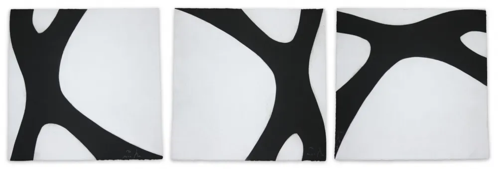 Acquatinta Muckensturm - 14C6