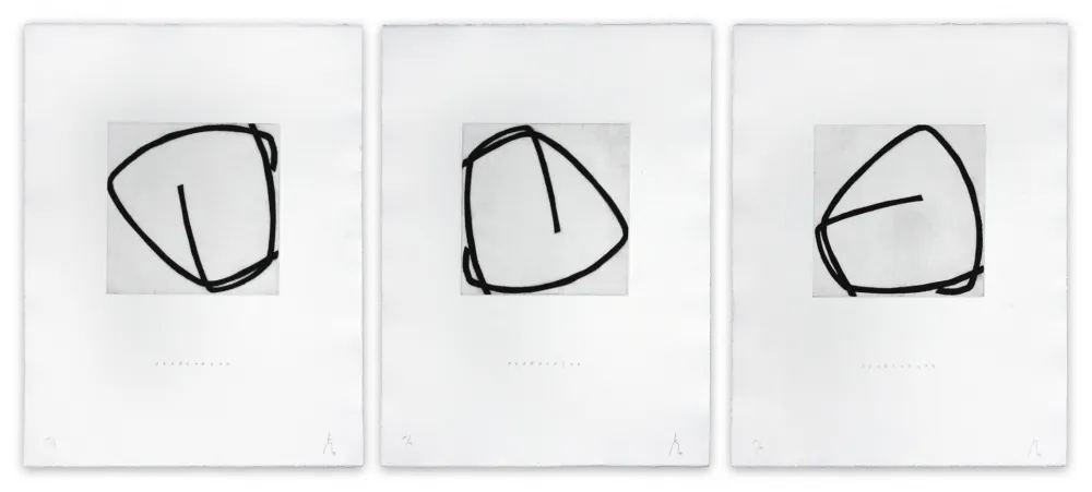 Acquaforte Muckensturm - 171R20021