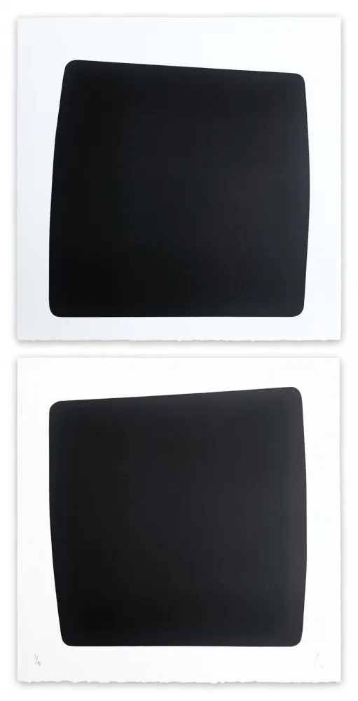 Acquaforte Muckensturm - XXI 41 117