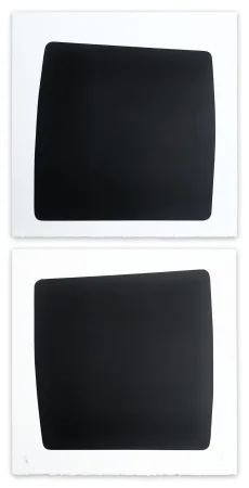 Acquaforte Muckensturm - XXI 41 117