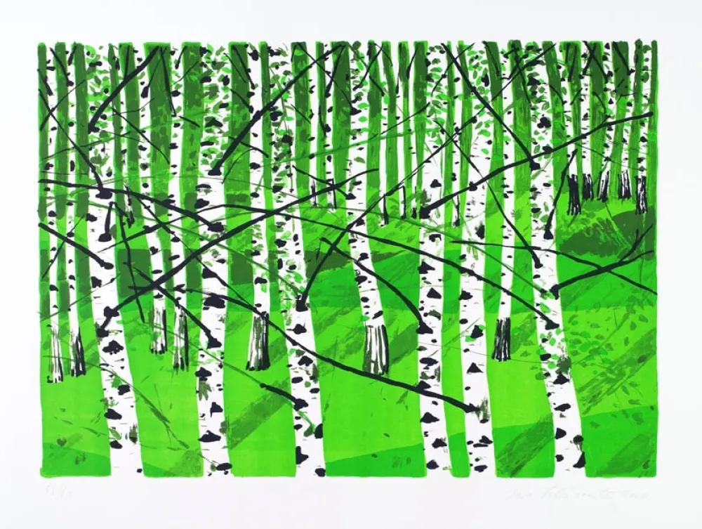 Litografia Muller - Birkenwa?ldchen