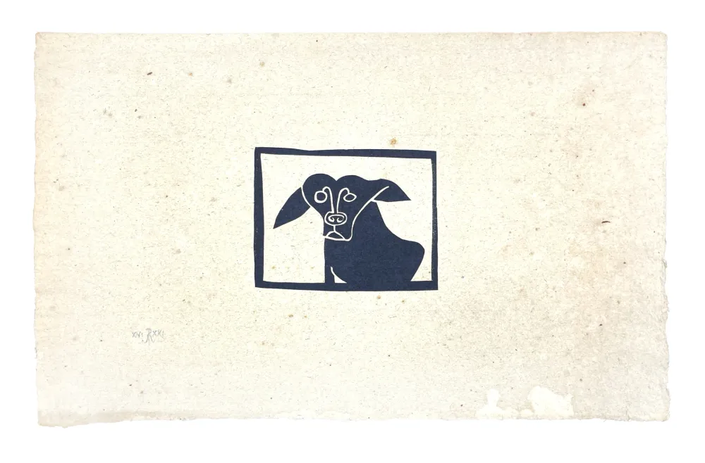 Non Tecnico Müller - SKILIA II