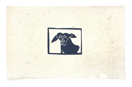 Non Tecnico Müller - SKILIA II