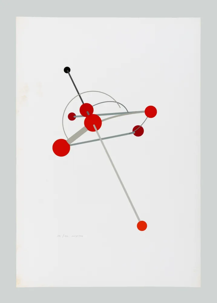 Serigrafia Munari - Macchina aerea