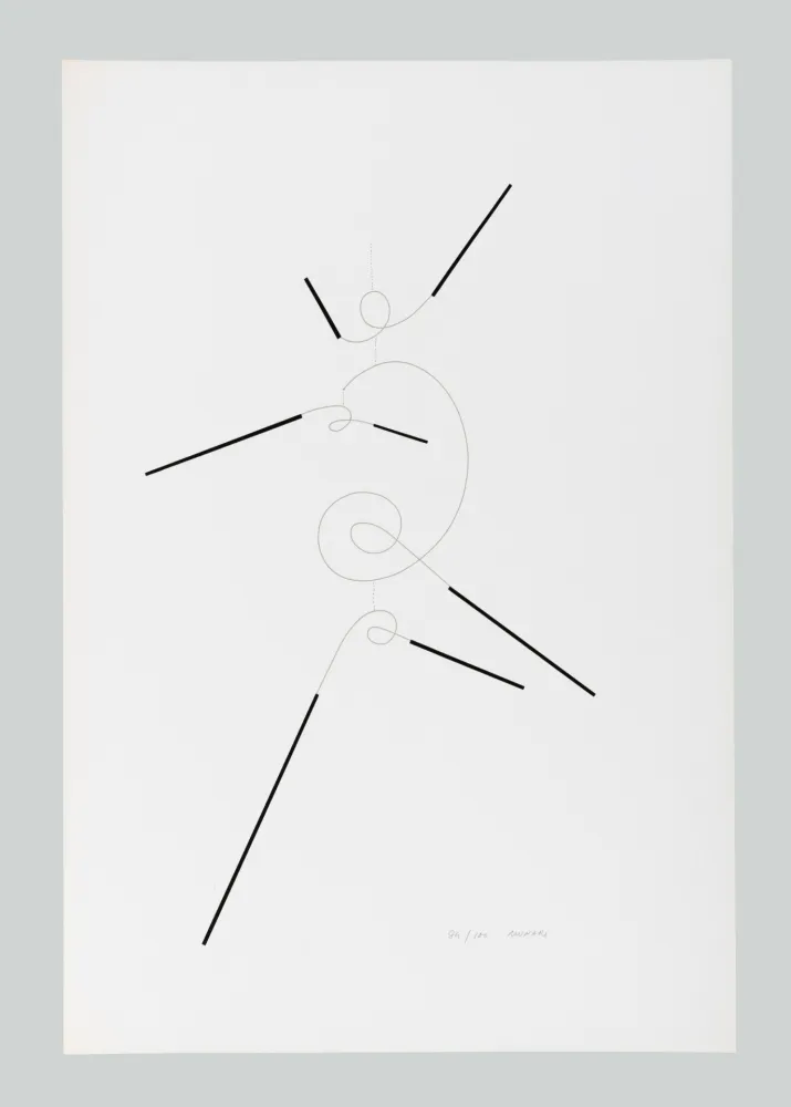 Serigrafia Munari - Macchina inutile