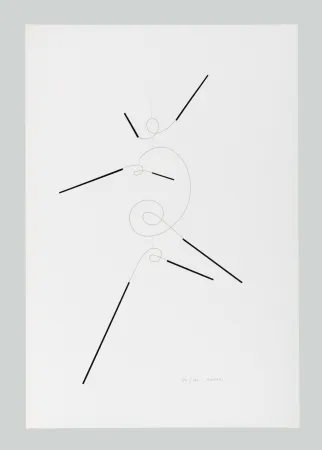 Serigrafia Munari - Macchina inutile