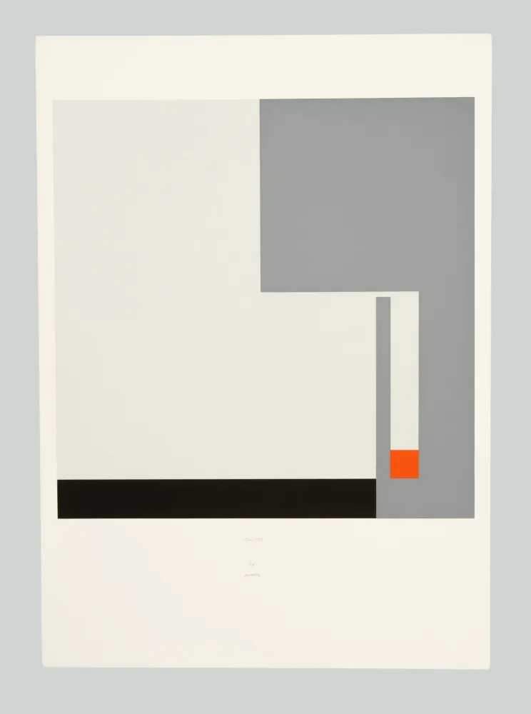 Serigrafia Munari - Positivo negativo