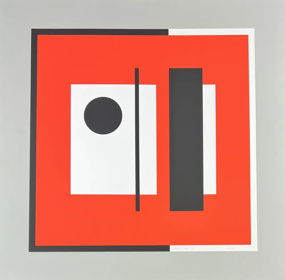 Serigrafia Munari - Senza titolo