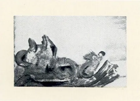 Incisione Muñoz - LM-6