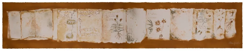 Multiplo Muñoz - Manuscrit II