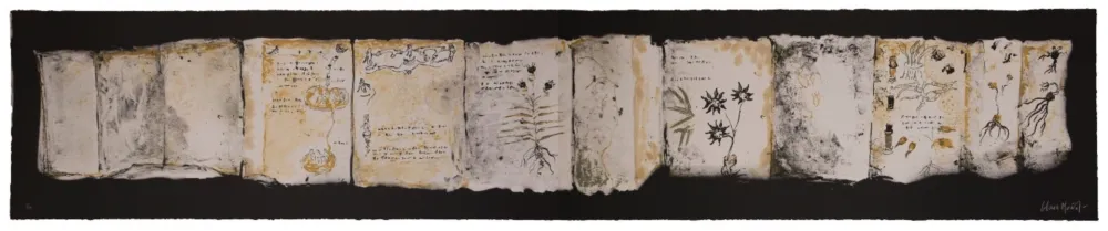 Multiplo Muñoz - Manuscrit III