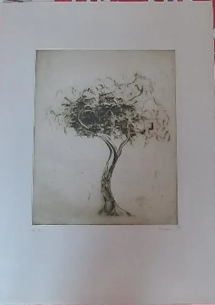 Incisione Music - Baum (1975)