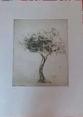 Incisione Music - Baum (1975)