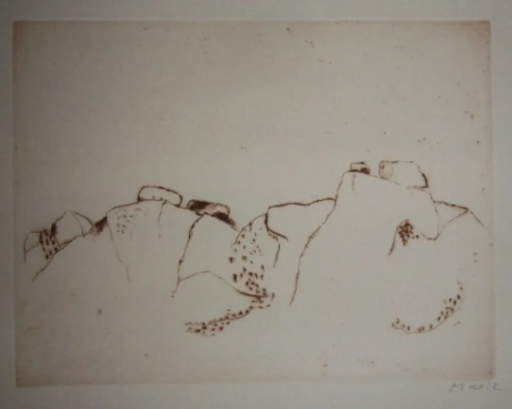 Acquaforte E Acquatinta Music - Jardins