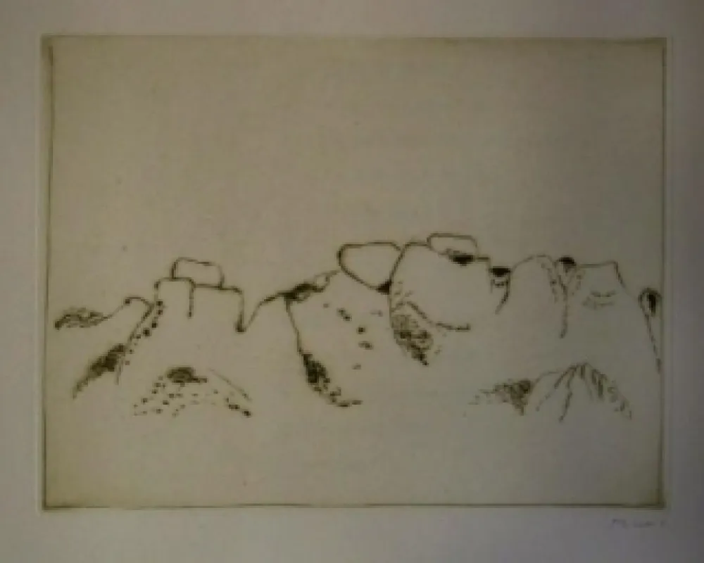 Libro Illustrato Music - Jardins déserts peut-être