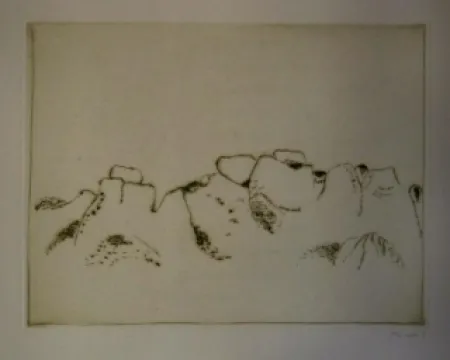 Libro Illustrato Music - Jardins déserts peut-être