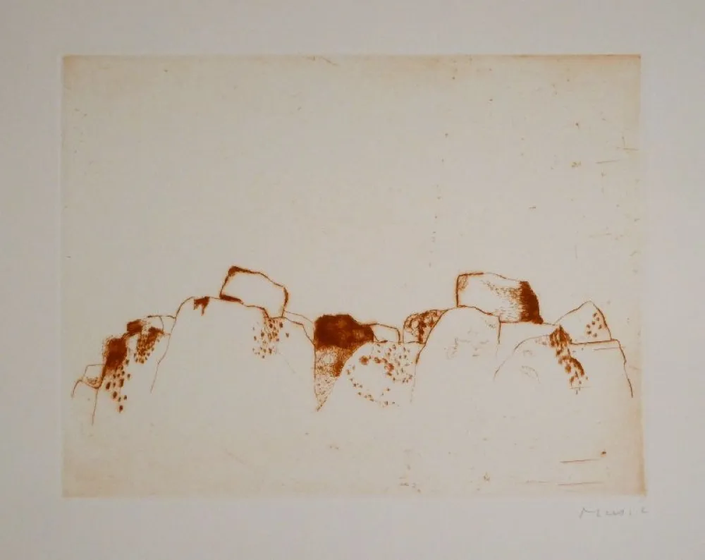 Libro Illustrato Music - Jardins déserts peut-être