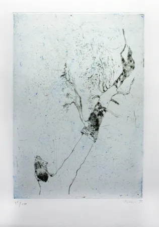 Incisione Music - Motif végatal