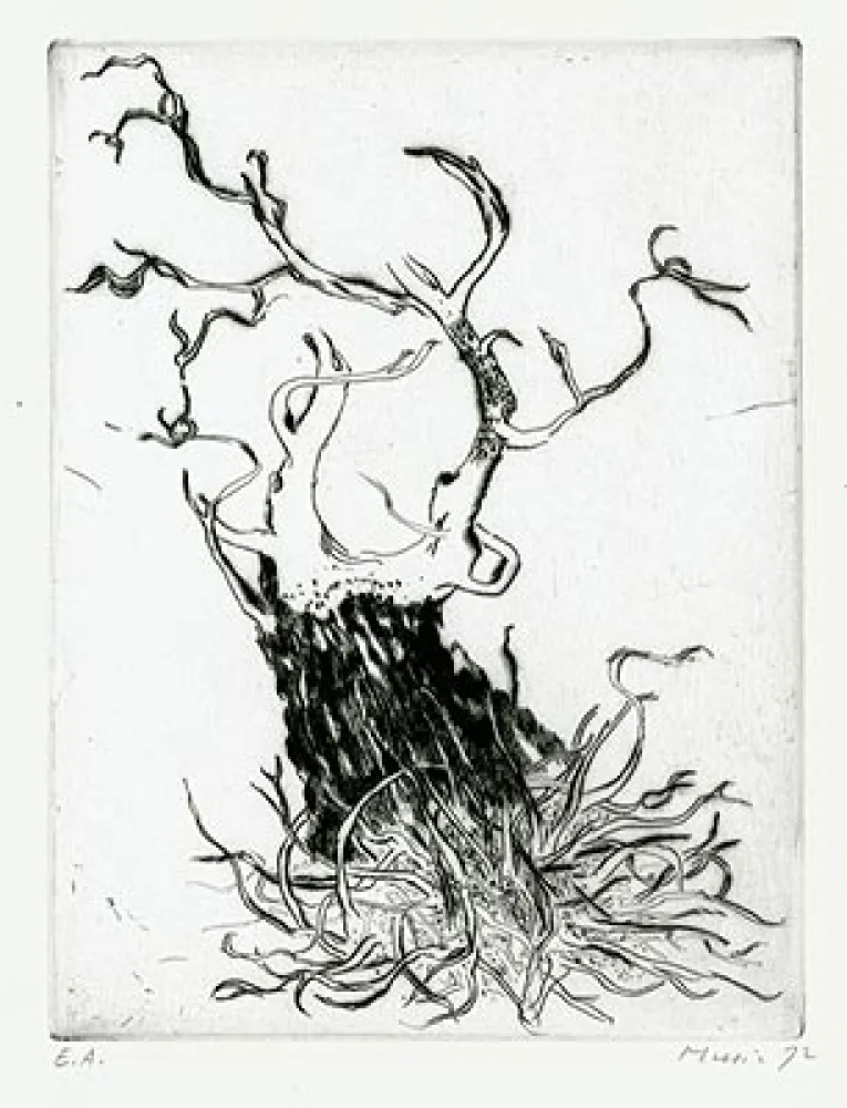 Incisione Music - Motif Végétal