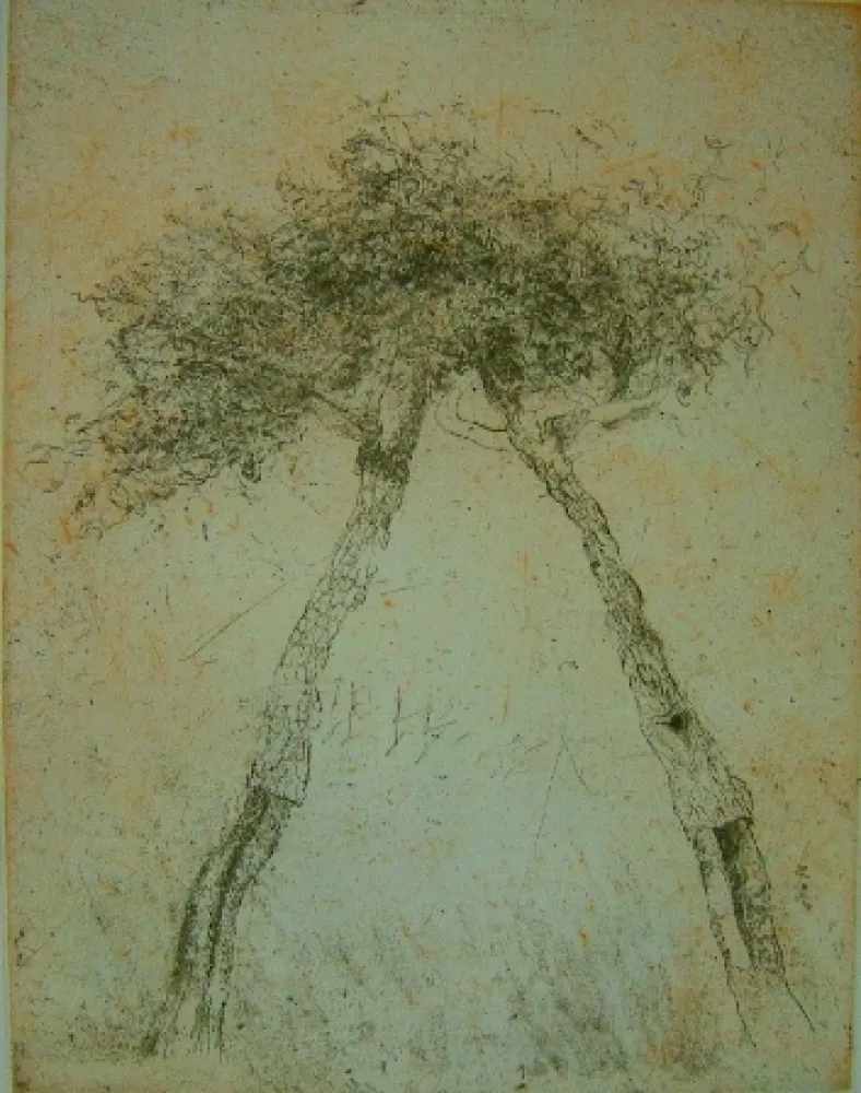 Acquatinta Music - Motif vegetal