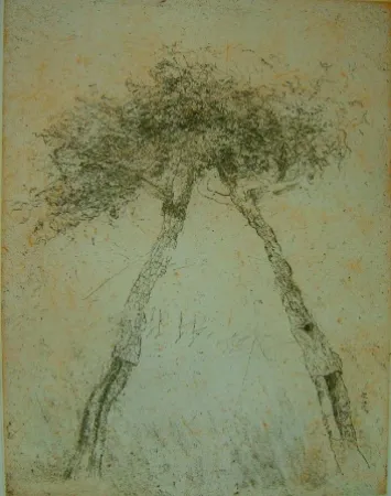 Acquatinta Music - Motif vegetal