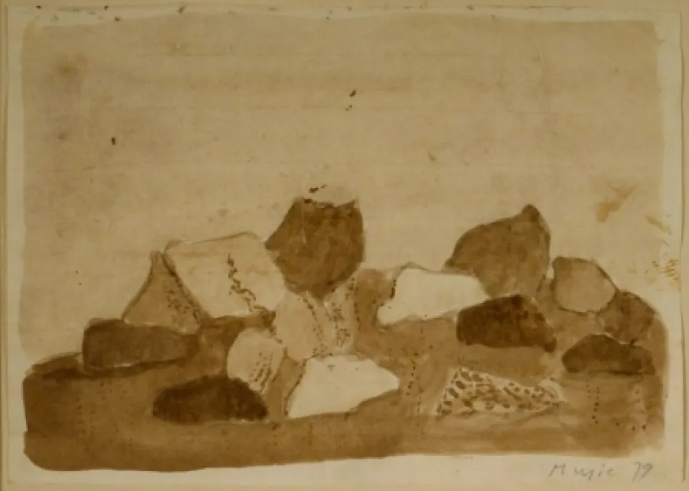 Non Tecnico Music - Paysage Dalmate - Rocheux