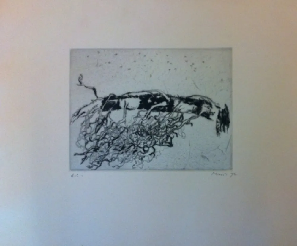 Incisione Music - Sans titre 