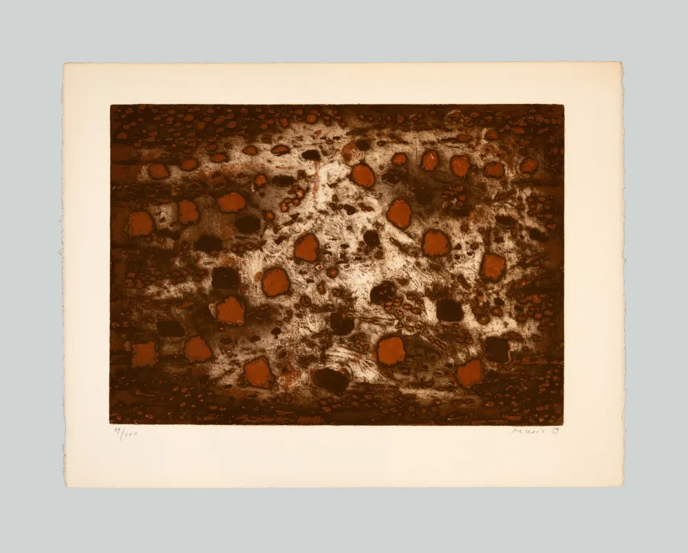 Incisione Music - Terre dalmate