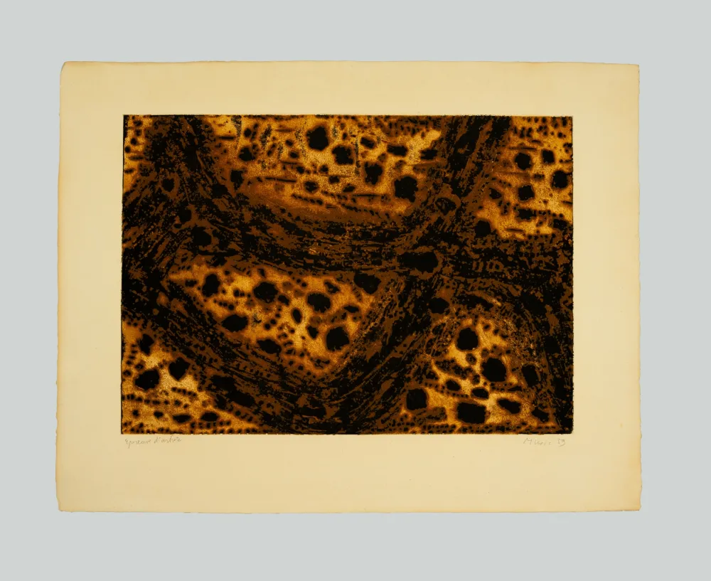 Incisione Music - Terre dalmate