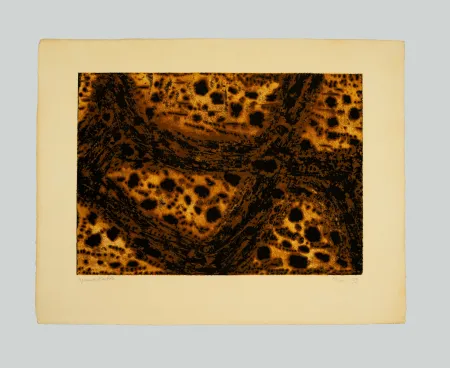 Incisione Music - Terre dalmate