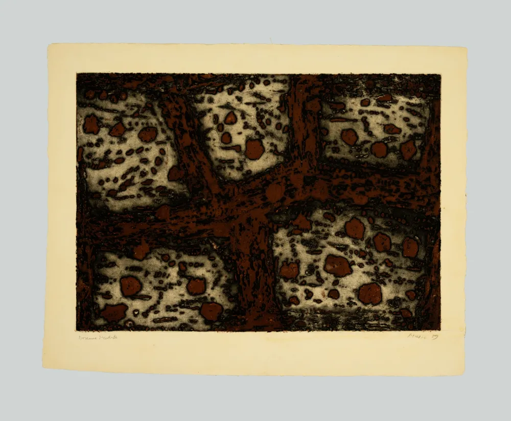 Acquaforte E Acquatinta Music - Terre dalmate