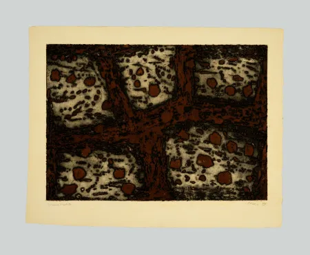 Acquaforte E Acquatinta Music - Terre dalmate