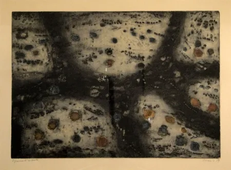 Incisione Music - Terre d’Istrie