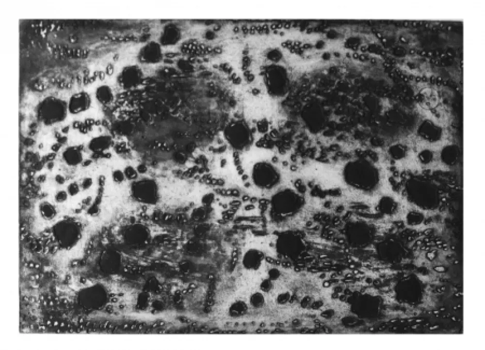 Incisione Music - Terre d'Istrie