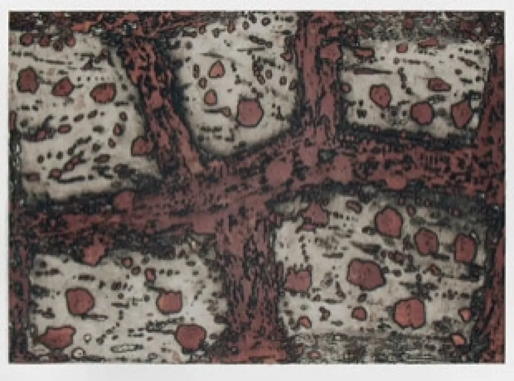 Incisione Music - Terre d'Istrie