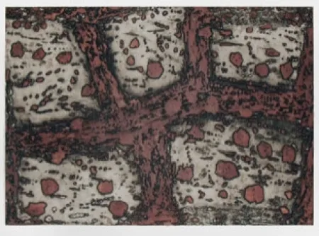 Incisione Music - Terre d'Istrie