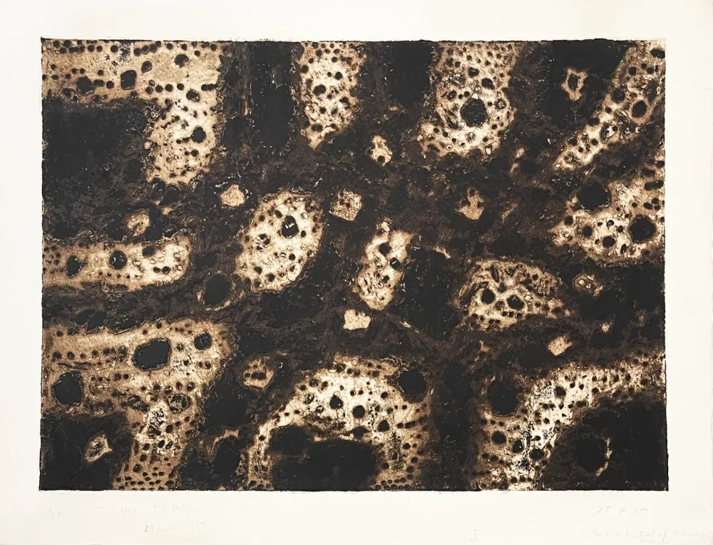 Incisione Music - Terres dalmates