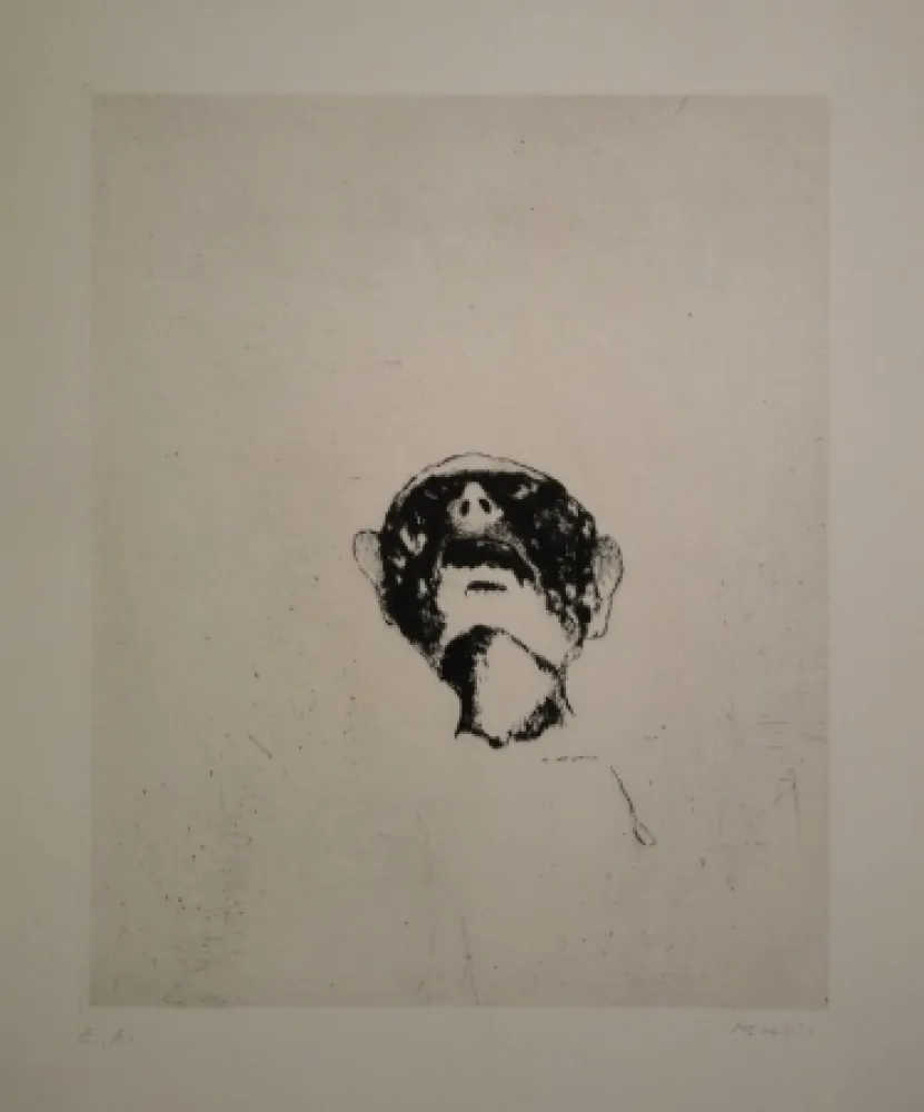 Incisione Music - Wir sind nicht die letzten / Nous ne sommes pas le derniers