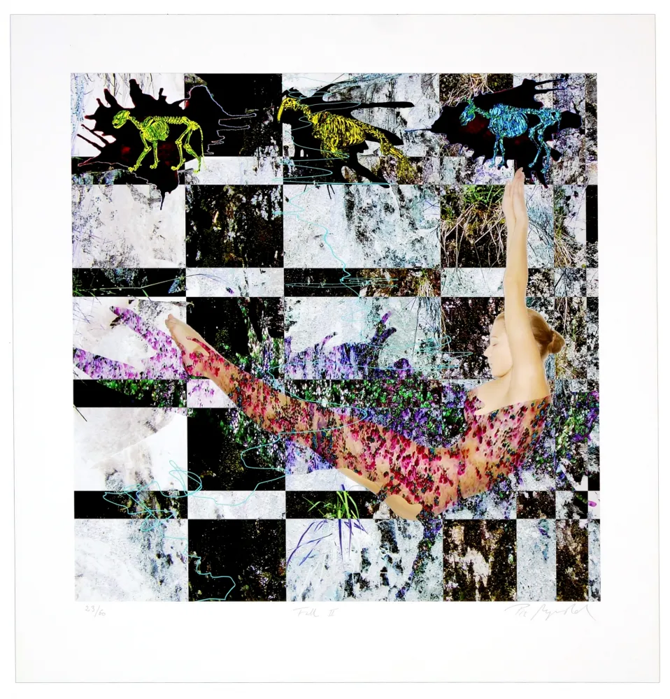 Grafica Numerica Myrvold - Fall II