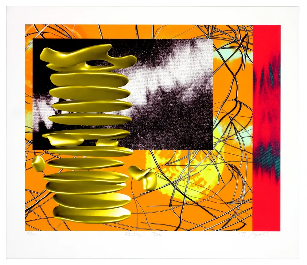 Litografia Myrvold - Snow crash