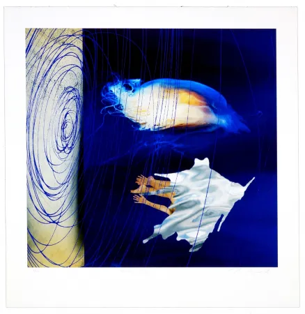 Grafica Numerica Myrvold - Water dream