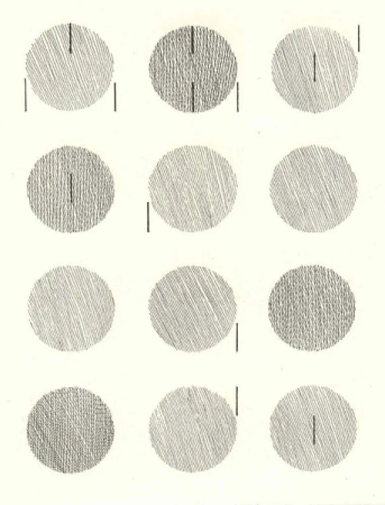 Libro Illustrato Nangeroni - Sei poesie per un romanzo