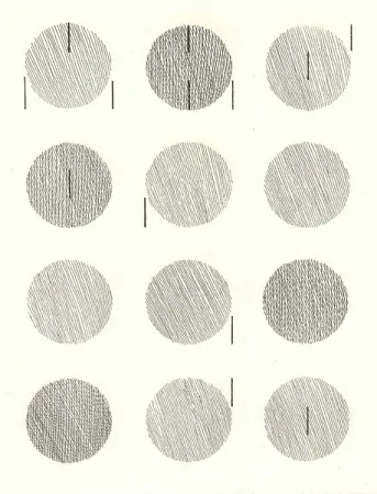 Libro Illustrato Nangeroni - Sei poesie per un romanzo