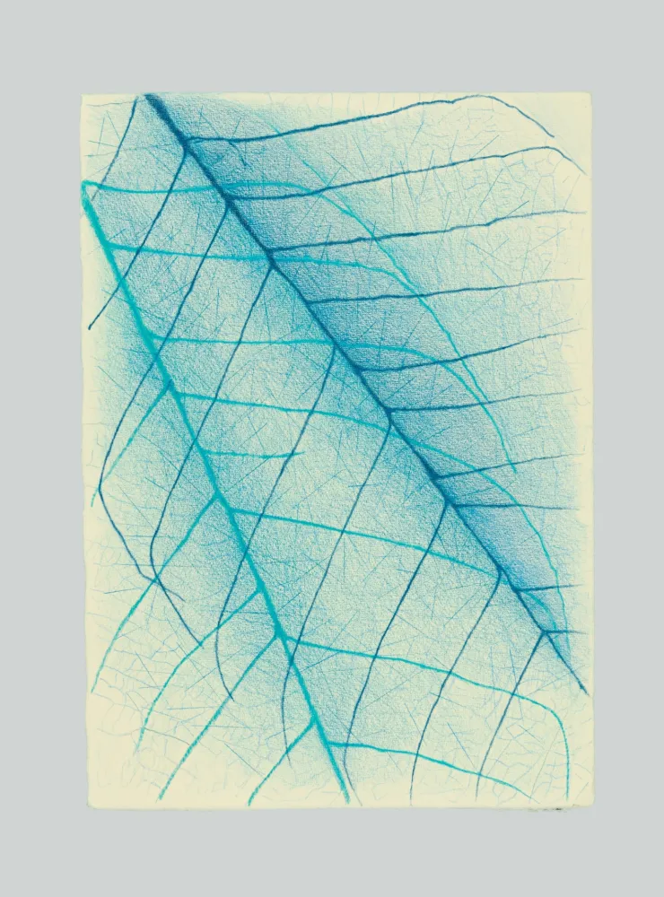 Non Tecnico Napoleone - Essenze, assenze