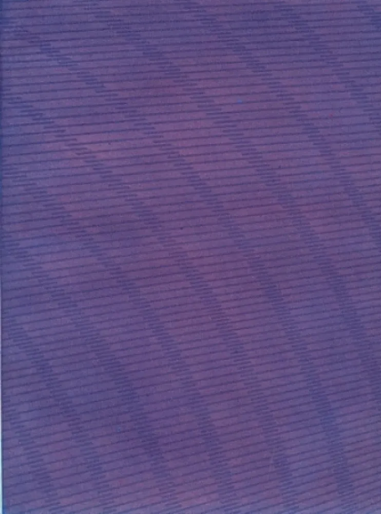 Libro Illustrato Napoleone - Rimanenze