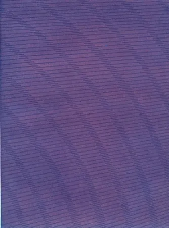 Libro Illustrato Napoleone - Rimanenze