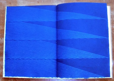 Libro Illustrato Napoleone - Rimanenze