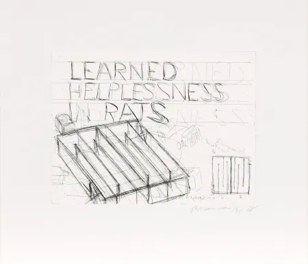 Acquaforte Nauman - Learned Helplessness from Rats