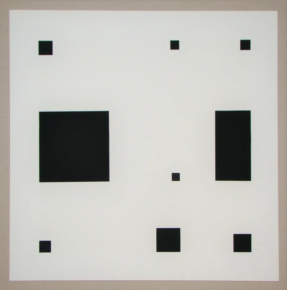 Serigrafia Nemours - Noir demi rose II